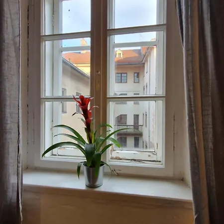 Apartment Historical Goldenes Dachl *